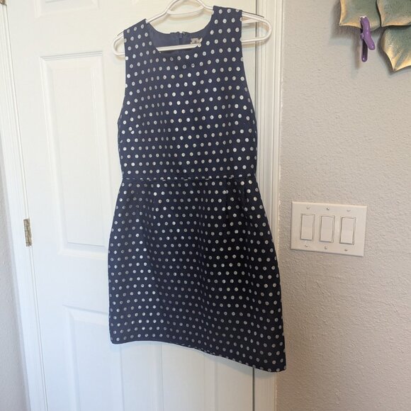 J. Crew Navy and Silver Polka Dot Sheath | 12 | EUC | Silk Cotton Blend! - Picture 2 of 8